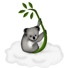 koala